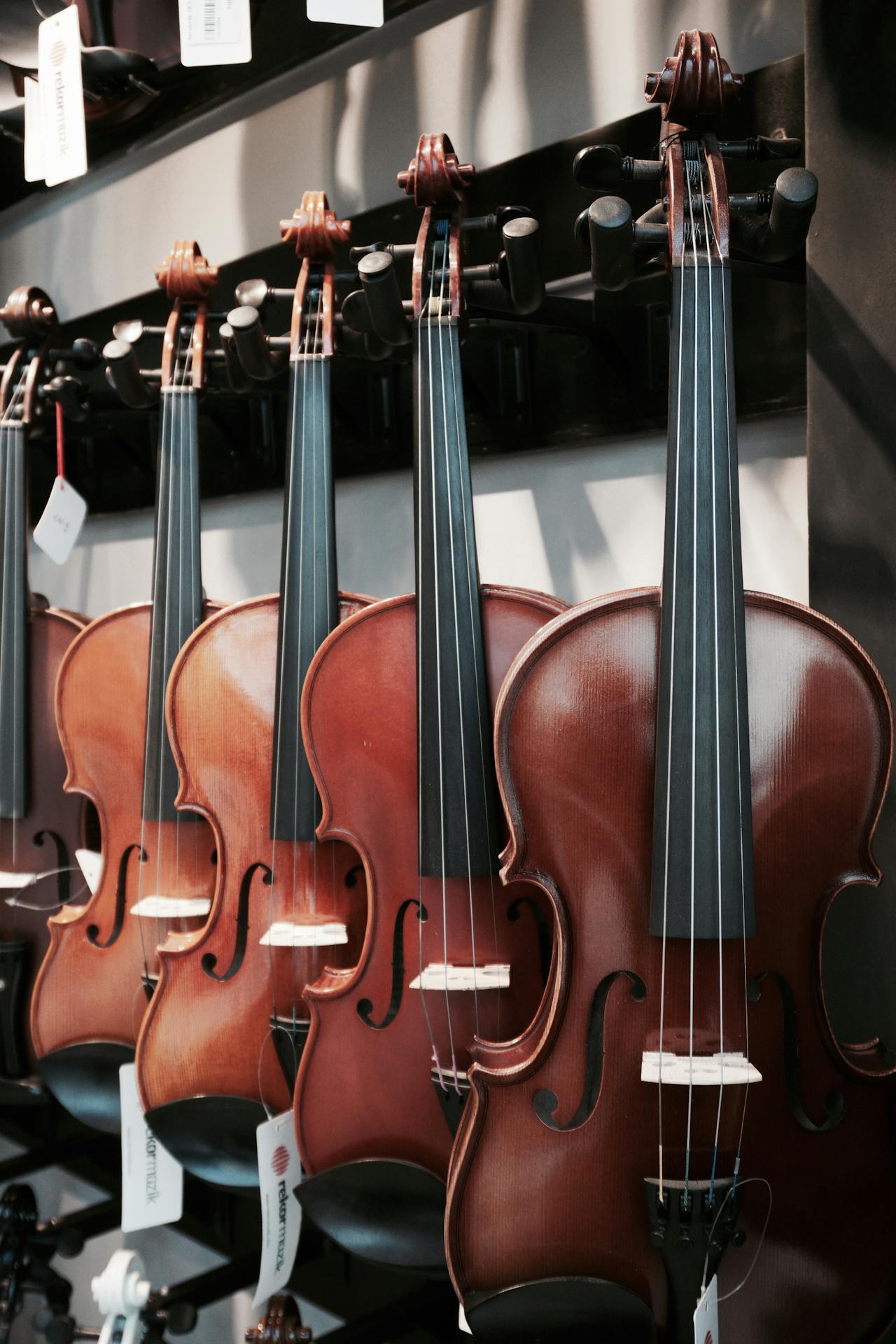 Cordas-Music-Violin-Warehouse-Sales-2 Cordas-Music-Violin-Warehouse-Sales