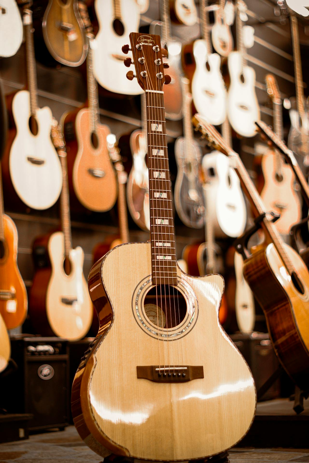 Guitar-Musical-Instrument-Rentals Guitar Rental - Musical Instrument Rentals Mercer County